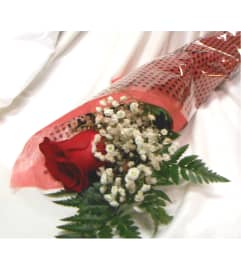 Take A Bow Bouquet. An arrangement by Triple A Florist. Take A Bow Bouquet. An arrangement by Triple A Florist.