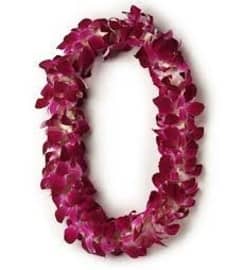 Orchid Lei - PICK UP ONLY. An arrangement by Plaza Florist and Gifts.
