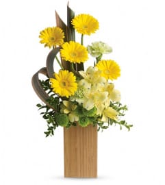 Sunbeams And Smiles by Teleflora. An arrangement by Pompano Beach Floral.