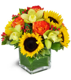 Sunrise Harvest. An arrangement by Green Thumb Florist.