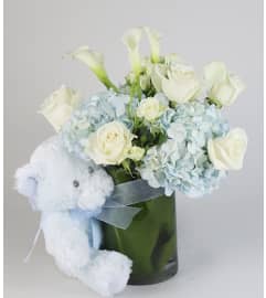 Little Blue Bear Arrangement. An arrangement by A and S Whitestone Florist.