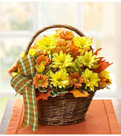 Fall Daisy Basket. An arrangement by Graceland Florist.