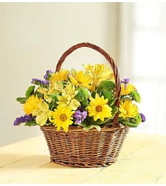 Fields of Europe Summer Basket™. An arrangement by Blessing and Blooms Florist.