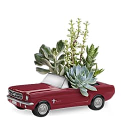 Dream Wheels '65 Ford Mustang by Teleflora. An arrangement by Julia Flowers.