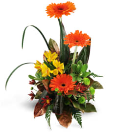 Rise Above. An arrangement by Yesterday's Florist and Gifts.