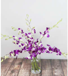 Ornate Orchids. An arrangement by Rudy's Flower and Gift Shop.