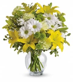 Teleflora's Brightly Blooming. An arrangement by Devine Orchid.