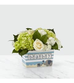Darling Baby Boy by FTD. An arrangement by Fink Flowers, Gifts and Flower Delivery.