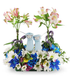 Little Boy Blue. An arrangement by Jerome Floral.