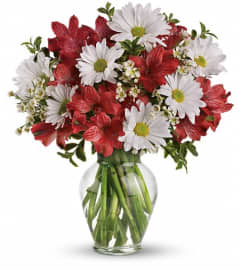 Dancing in Daisies. An arrangement by Flowers By Maria.