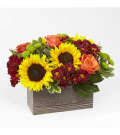 Happy Harvest Garden™ by FTD. An arrangement by Mardi Gras Florist.