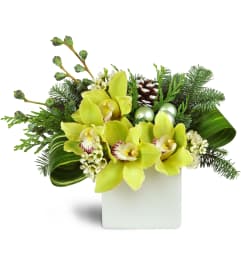 Jolly Jade Holiday™. An arrangement by Flowers By Stephanie.