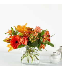 Fall For You. An arrangement by Pierson's Flower Shop and Greenhouses. Fall For You. An arrangement by Pierson's Flower Shop and Greenhouses.