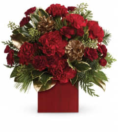 Laughter and Cheer by Teleflora. An arrangement by Pompano Beach Floral.