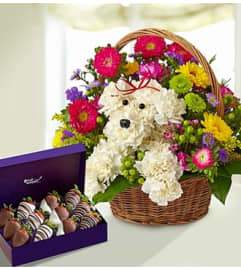 Tail Waggin’ Fun in a Basket. An arrangement by Graceland Florist.