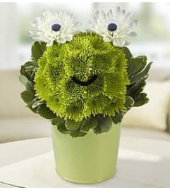Froggie Flower Pail™. An arrangement by Graceland Florist.