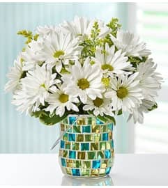 Daisy Garden™. An arrangement by Blessing and Blooms Florist.