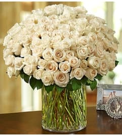 100 Premium White Roses in a Vase. An arrangement by Graceland Florist.