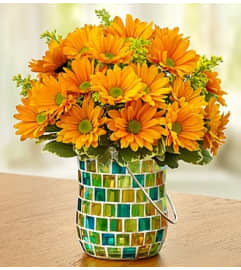 Golden Sunset™ in a Blue Mosaic Jar. An arrangement by Blessing and Blooms Florist.