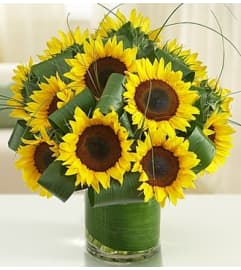 Sun-Sational Sunflowers™. An arrangement by Graceland Florist.