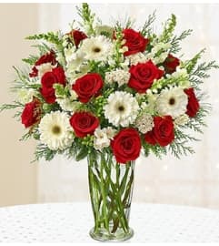 Glorious Christmas™ 2014. An arrangement by Blessing and Blooms Florist.
