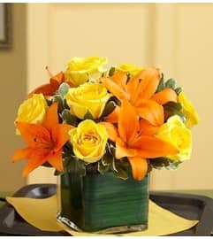 Modern Embrace™ Fall Rose and Lily Cube. An arrangement by Blessing and Blooms Florist.