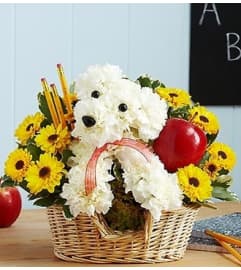 Teacher's Pet™. An arrangement by Blessing and Blooms Florist.