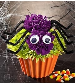 Cupcake in Bloom® - Spider. An arrangement by Blessing and Blooms Florist.