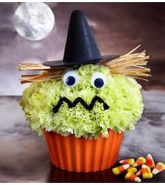Cupcake in Bloom® - Witch. An arrangement by Blessing and Blooms Florist.