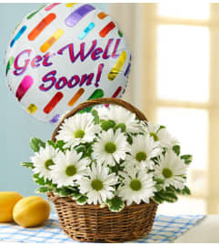 Basket Full of Daisies with Get Well Balloon. An arrangement by Blessing and Blooms Florist.