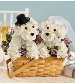 You Had Me At Woof ™. An arrangement by Blessing and Blooms Florist.
