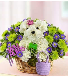 Mama Paws™. An arrangement by Blessing and Blooms Florist.