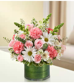 Cherished Memories - Pink and White. An arrangement by Blessing and Blooms Florist.