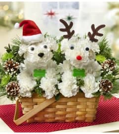 Santa Paws and His Best Reindeer™. An arrangement by Graceland Florist.