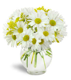 Perfectly Pleasing™. An arrangement by Erika's Flowers.
