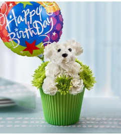 Pup-cake in Bloom™. An arrangement by Graceland Florist.