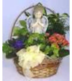 LIVING BASKET WITH ANGEL. An arrangement by Dupree's Root 88 Garden Center and Florist.