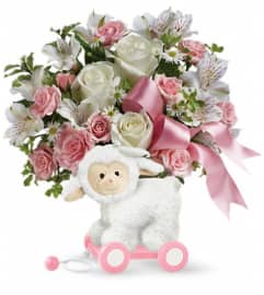 Teleflora's Sweet Little Lamb - Baby Pink. An arrangement by Pompano Beach Floral.