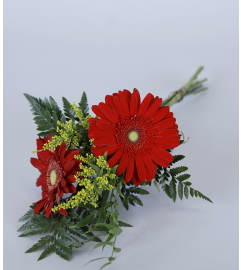 Gerber Daisy Wrap. An arrangement by Lee's Corner Floral Shop.