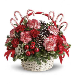 Candy Cane Basket Bouquet. An arrangement by Belak Flowers.