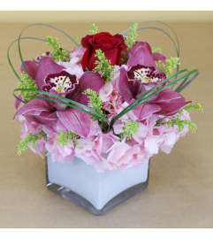 You're My Desire. An arrangement by Ditmars Flower Shop.