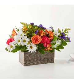 The Oopsie Daisy Box Bouquet. An arrangement by Pierson's Flower Shop and Greenhouses. The Oopsie Daisy Box Bouquet. An arrangement by Pierson's Flower Shop and Greenhouses.