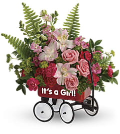 Teleflora's Welcome Beautiful Bouquet. An arrangement by Pompano Beach Floral.