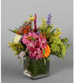 Delicate Butterfly. An arrangement by Country Arts In Flowers.