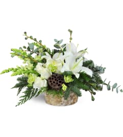 Modern Holiday Display™. An arrangement by North Creek Florist.