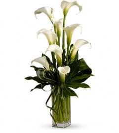 My Fair Lady by Teleflora. An arrangement by Devine Orchid.