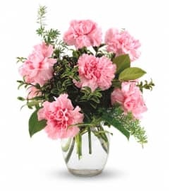 Pink Notion. An arrangement by Sunrise Greenery.