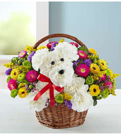 DOG-able® in a Basket. An arrangement by Garden of Eden Floral.