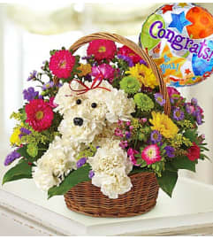 a-DOG-able® in a Basket - Congrats. An arrangement by Blessing and Blooms Florist.