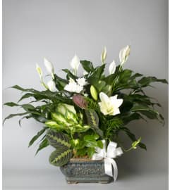 Purely Elegant. An arrangement by Seithel's Florist.